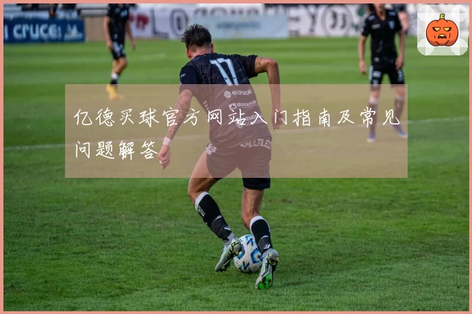 亿德买球官方网站入门指南及常见问题解答