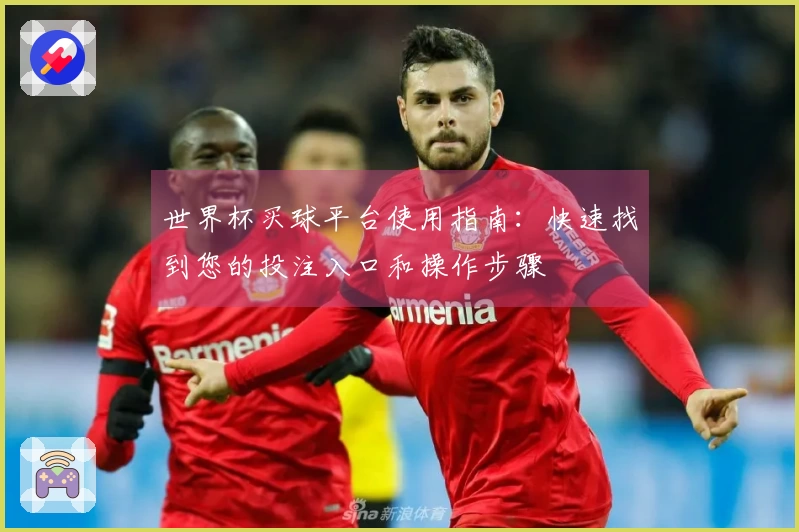 世界杯买球平台使用指南：快速找到您的投注入口和操作步骤
