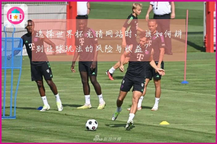 选择世界杯竞猜网站时，该如何辨别让球玩法的风险与收益？