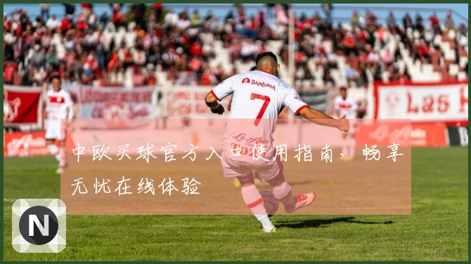 中欧买球官方入口使用指南，畅享无忧在线体验