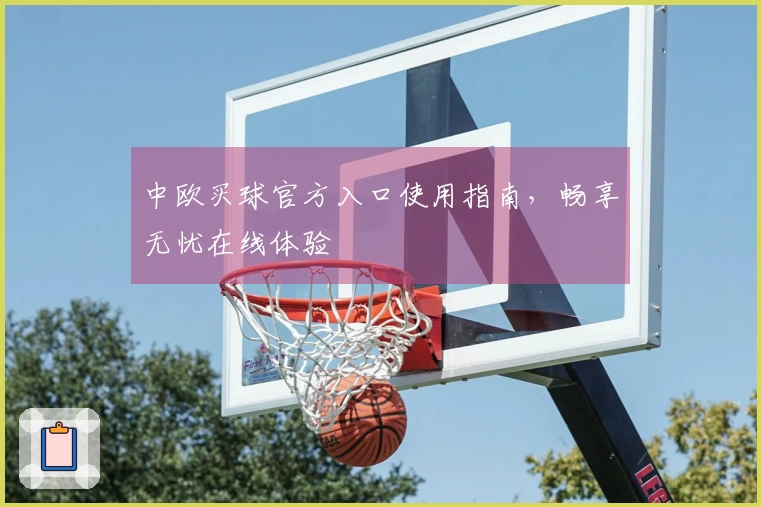 中欧买球官方入口使用指南，畅享无忧在线体验