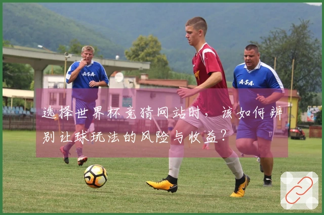 选择世界杯竞猜网站时，该如何辨别让球玩法的风险与收益？