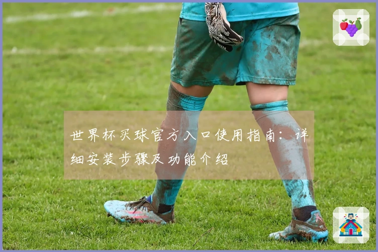 世界杯买球官方入口使用指南：详细安装步骤及功能介绍