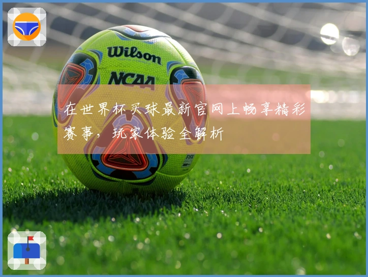 在世界杯买球最新官网上畅享精彩赛事，玩家体验全解析