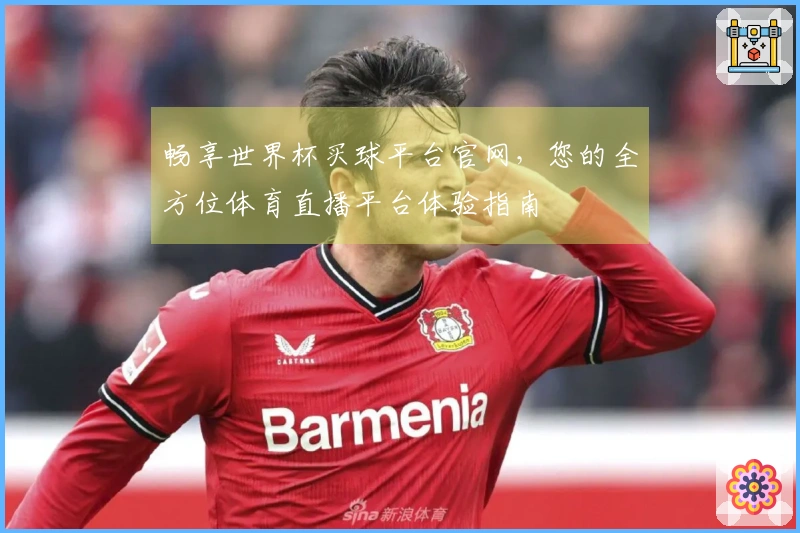 畅享世界杯买球平台官网，您的全方位体育直播平台体验指南