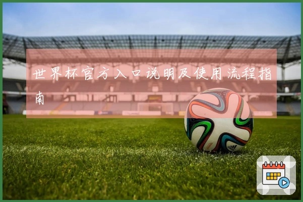 世界杯官方入口说明及使用流程指南