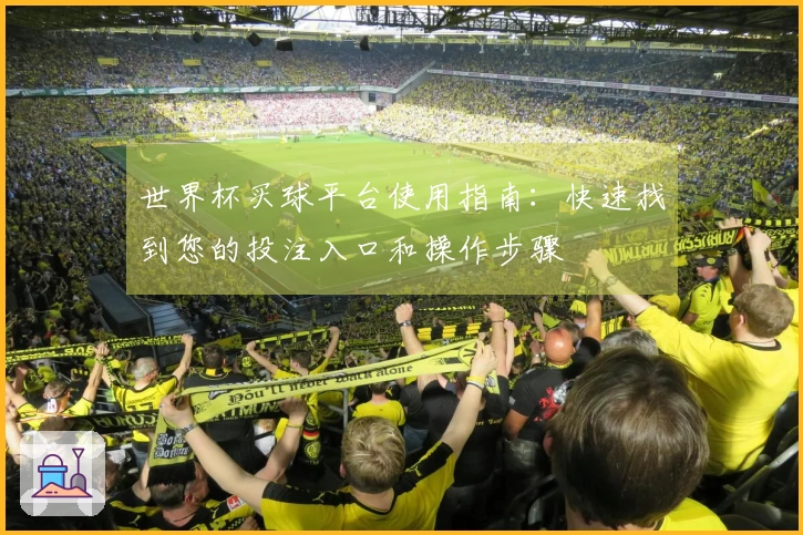 世界杯买球平台使用指南：快速找到您的投注入口和操作步骤