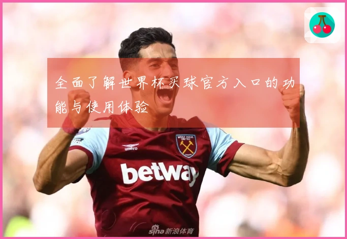 全面了解世界杯买球官方入口的功能与使用体验